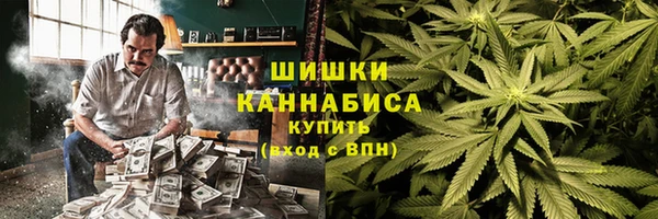 ГАЛЛЮЦИНОГЕННЫЕ ГРИБЫ Балабаново